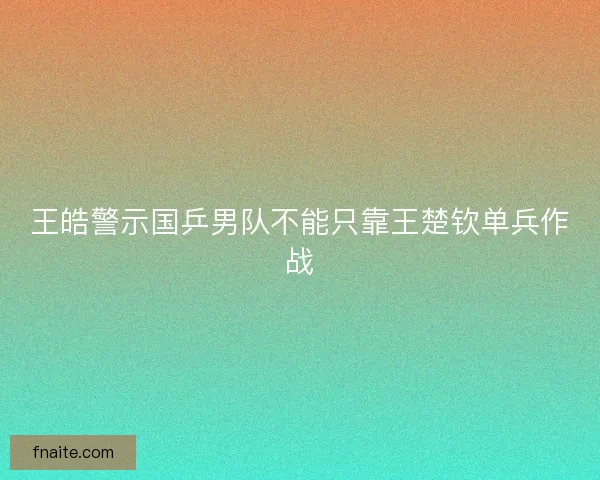 王皓警示国乒男队不能只靠王楚钦单兵作战